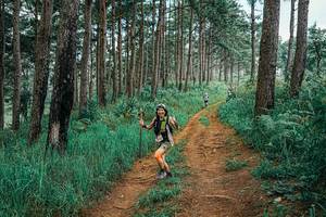 BIB: 
                            <button type="button" onclick="openModal(25660740)" class="btn btn-primary btn-sm float-right btn-popup" data-toggle="modal" data-target=".modal-high-quality">
                        <i class="fas fa-shopping-cart"></i> Add to Cart
                    </button>
                                            <button type="button" onclick="isThisMe(25660740, true)" class="btn btn-success btn-sm float-right btn-popup btn-isme hidden" data-toggle="tooltip" data-placement="bottom" title="นี่คือรูปของคุณใช่ไหม คลิกที่นี่เพื่อเอาเข้าอัลบั้ม">
                        <i class="fas fa-plus"></i> Add to album
                    </button>
                    <button type="button" onclick="isThisMe(25660740, false)" class="btn btn-warning btn-sm float-right btn-popup btn-isnotme hidden">
                        <i class="fas fa-ban"></i> Remove from album
                    </button>